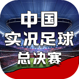 韦博体育足球